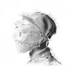 BlackWave