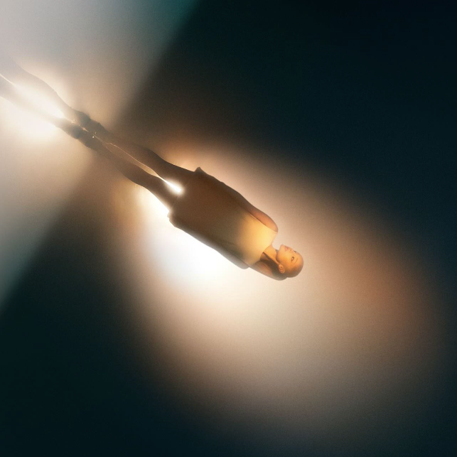 Capturedecran2024-03-03a12_04_35.png.26ee93e86632be9526df7c03995f003c.png