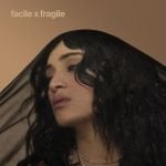 camelia_jordana-facile_x_fragile_a.jpg.b34069daef562bac21043c0ea45ae4d6.jpg